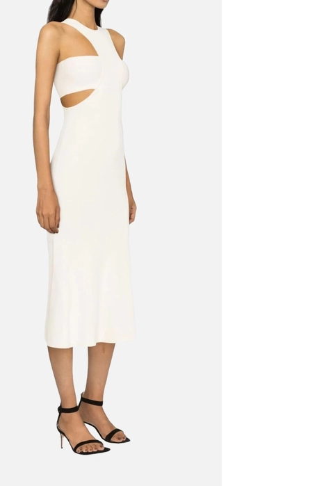 Сукня Alexander McQueen